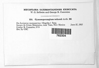 Image Associated With the Occurence